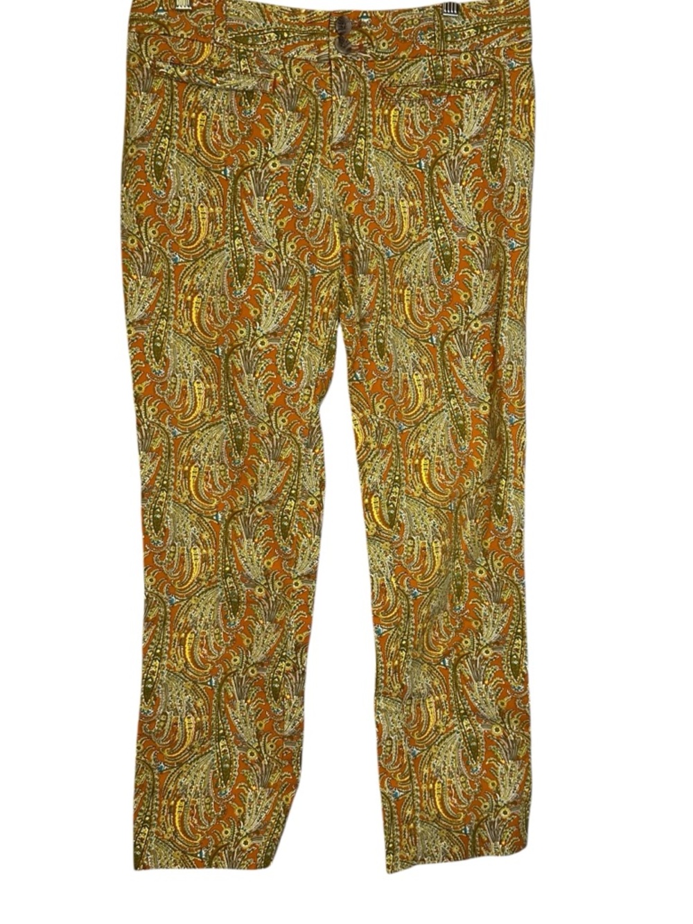Cartonnier Anthropologie Paisley Festival Pants Boho Slim Ankle Stretch Size 8
